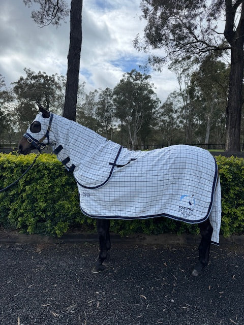 Check Rug, Hood, Tail Bag, Satin lined Shoulders & Mane, Embroider