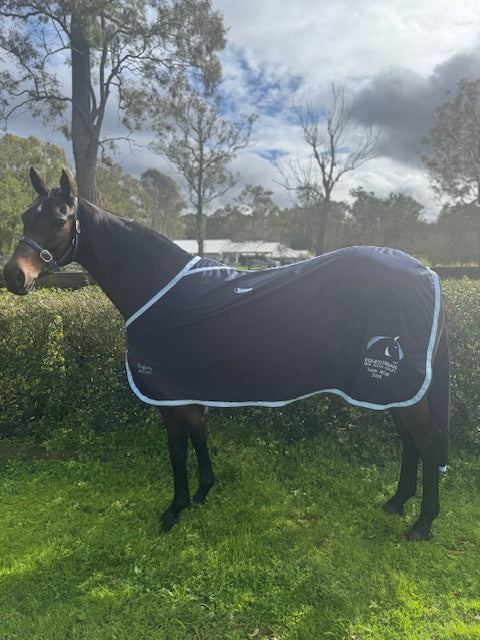 Navy Cotton Rug & Tai Bag, Satin in Shoulders & Embroidery