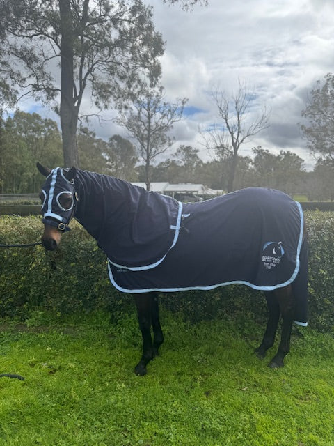 Navy Cotton Rug, Hood & Tail Bag, Satin Shoulders & Mane, Embroidery