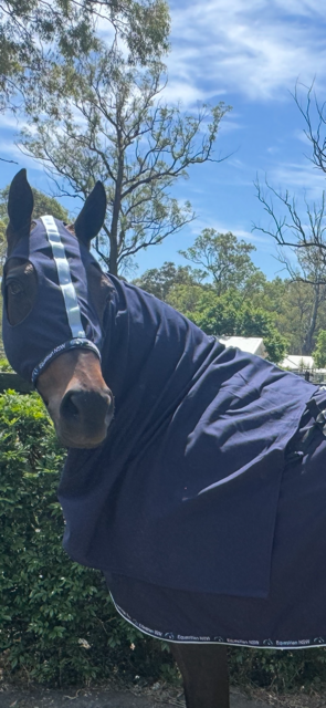 1719 – Stretch Hood