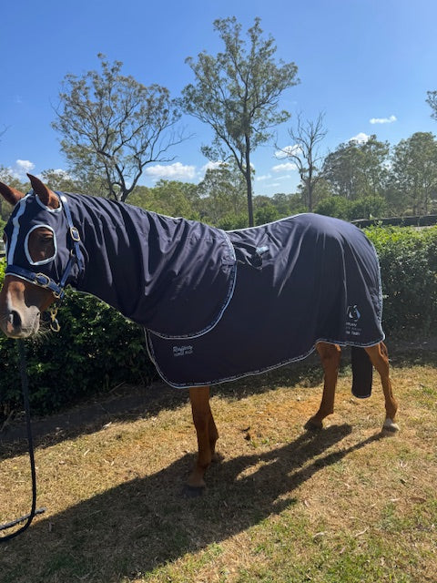 1740 - Cotton Rug Set, Rug, Hood & Tail Bag – Satin Shoulders and Mane