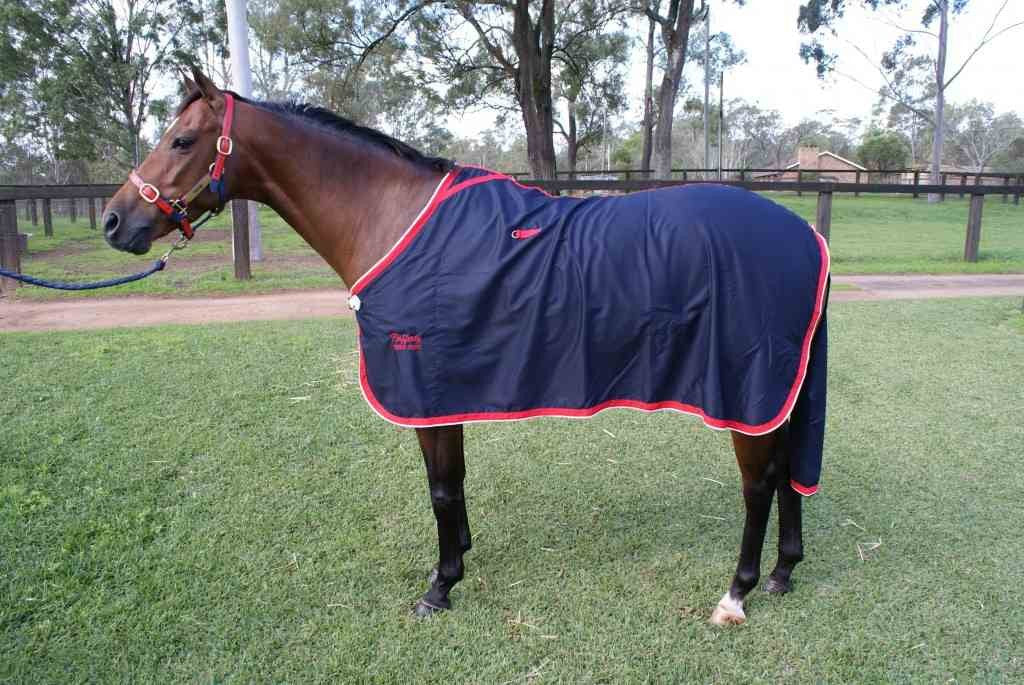 Rafferty Horse Rugs - Premium Australian Horse Rug Manufacturer