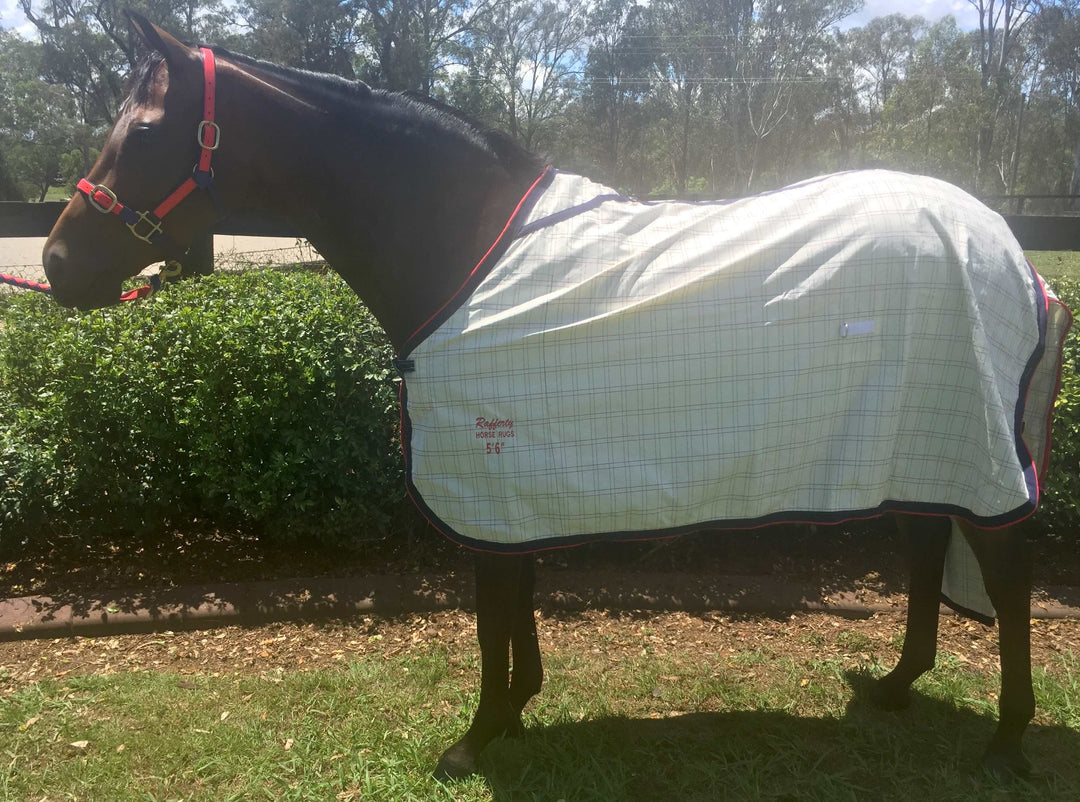 Horse Rugs – Rafferty Horse Rugs