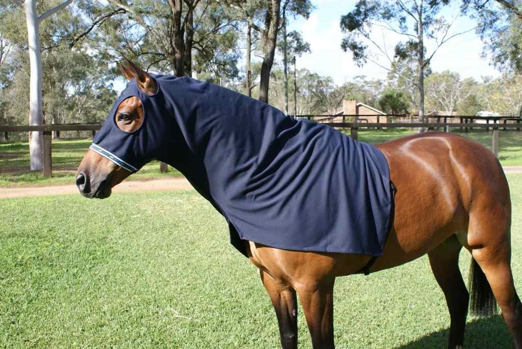 Rafferty Horse Rugs Premium Australian Horse Rug Manufacturer